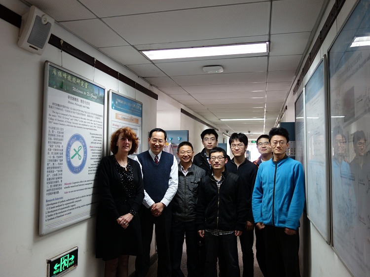 /xizf/revised/xw/